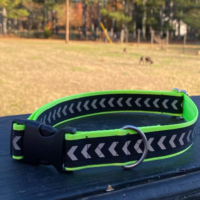 Bright Reflective Nylon Dog Collar
