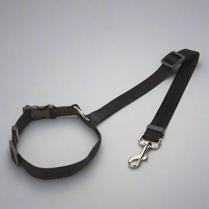 Two-In-One Pet Car Seat Leash