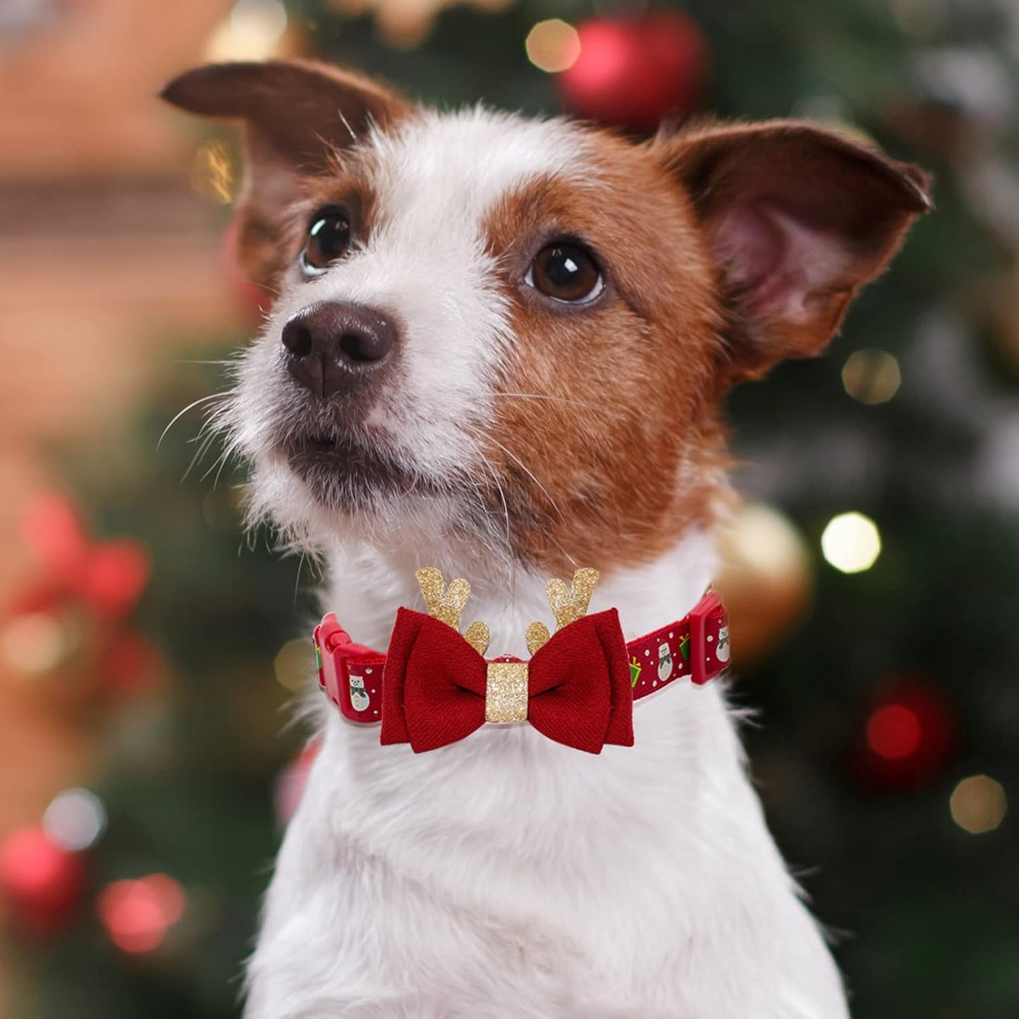 Christmas Dog Collar with Bow Tie