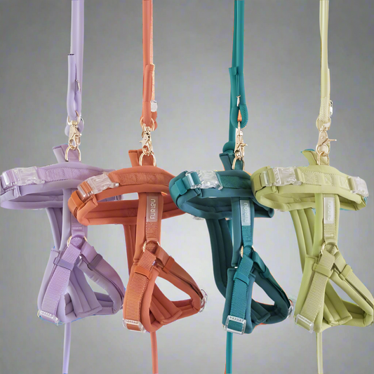 Comfort Dog Harness