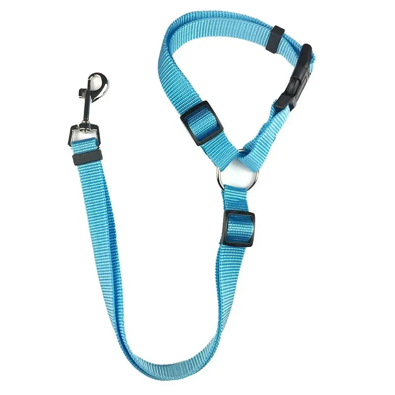 Two-In-One Pet Car Seat Leash