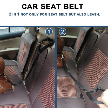 Two-In-One Pet Car Seat Leash