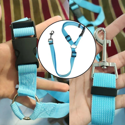 Two-In-One Pet Car Seat Leash