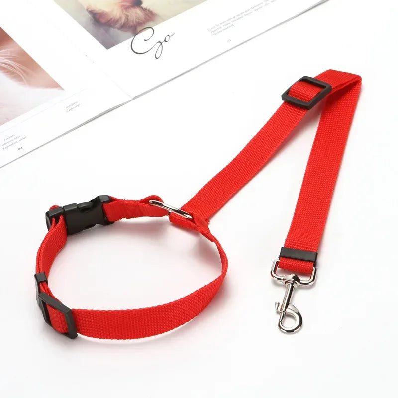 Two-In-One Pet Car Seat Leash