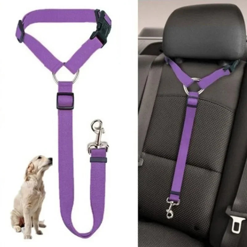 Two-In-One Pet Car Seat Leash