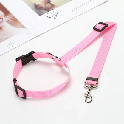 Two-In-One Pet Car Seat Leash