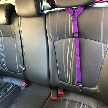 Two-In-One Pet Car Seat Leash