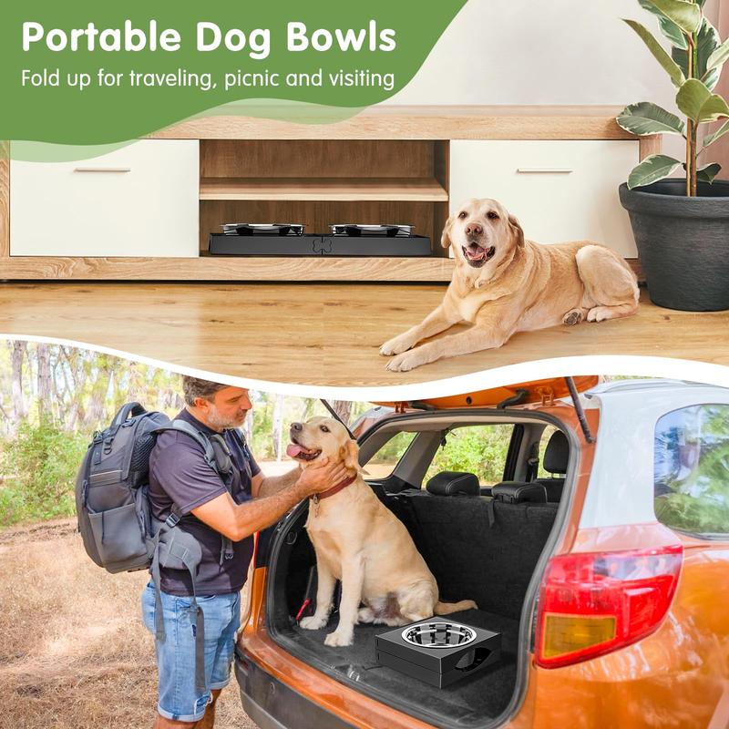 Elevated & Collapsible Dog Feeder Bowl