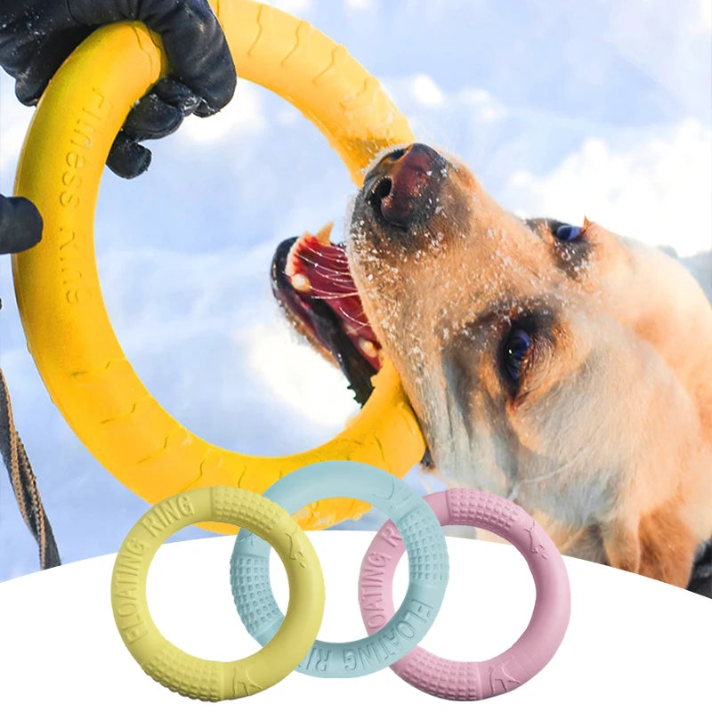 Dog Toy Ring Puller